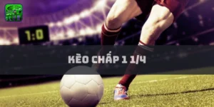 Kèo chấp 1 1/4